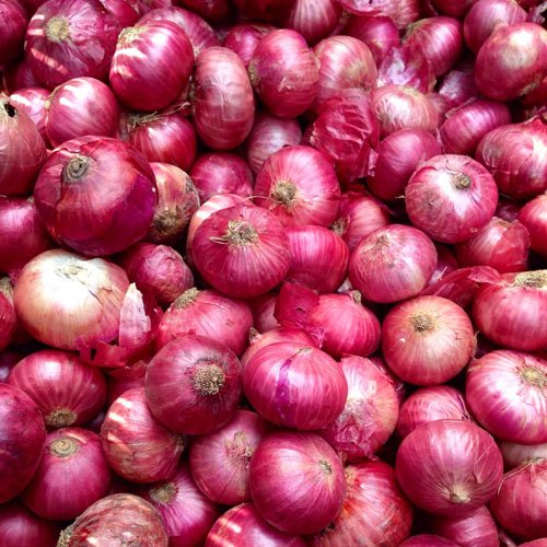 Onion