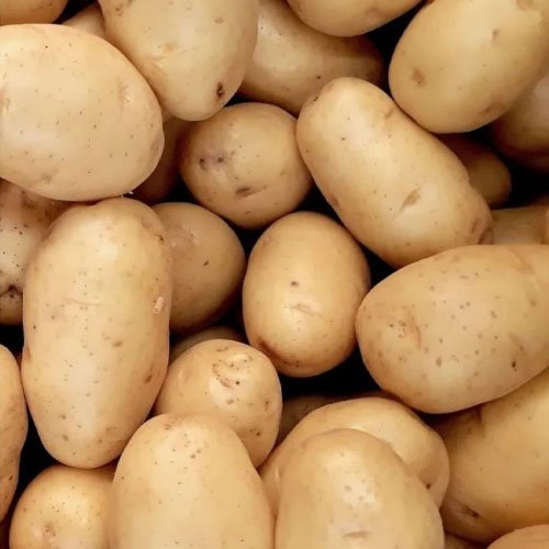 Potato